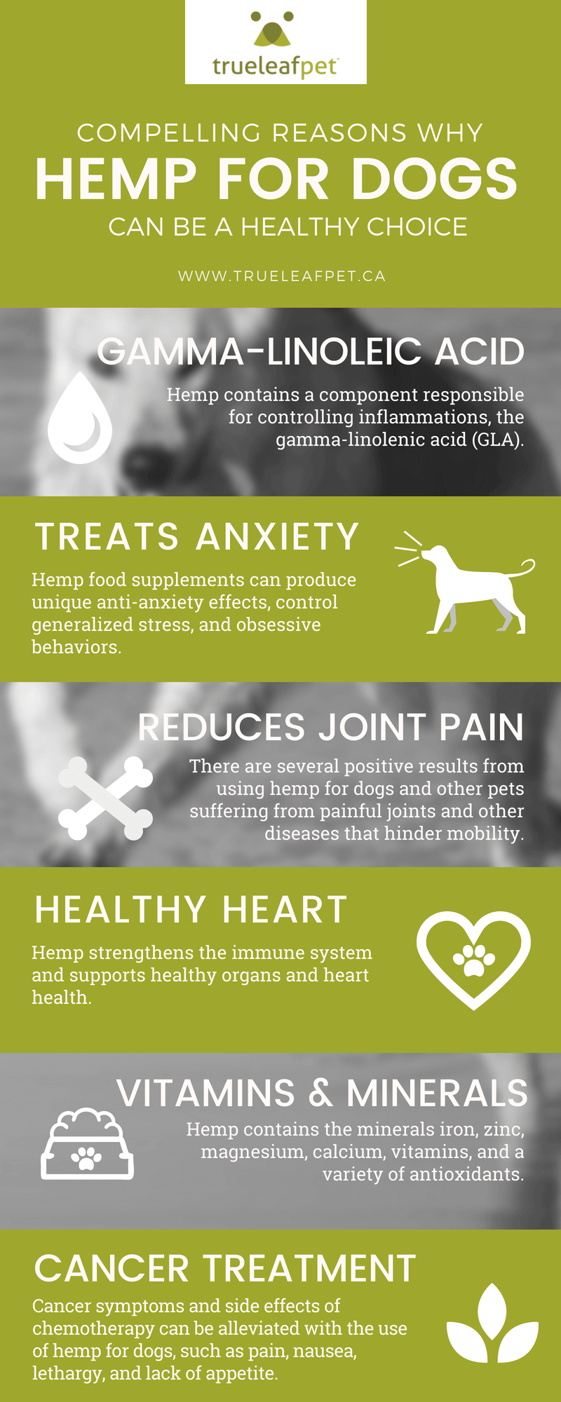 benefits hemp for dogs