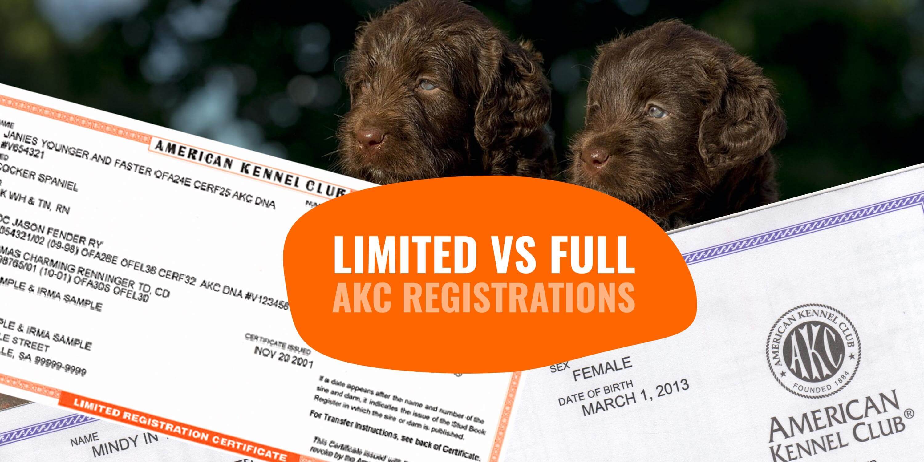 akc registration for puppies