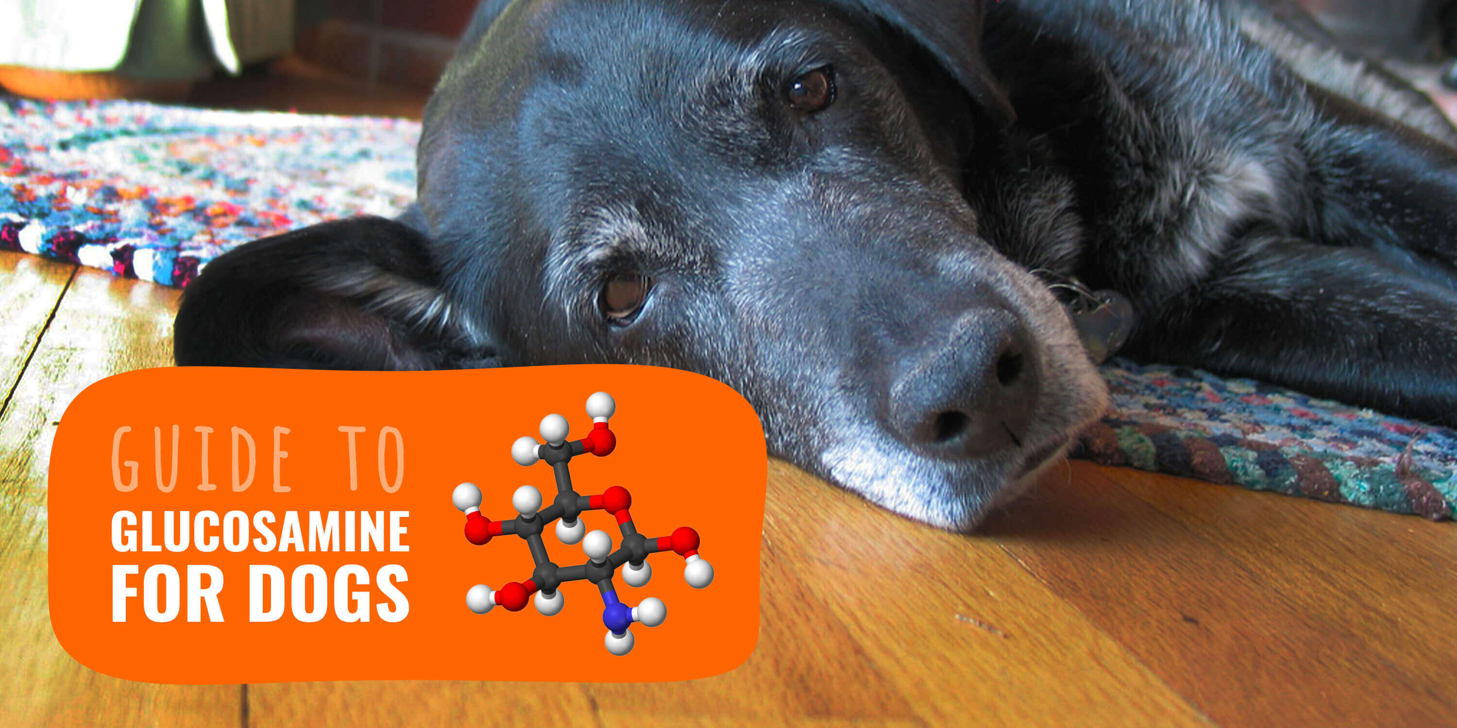 glucosamine chondroitin for dogs dosage