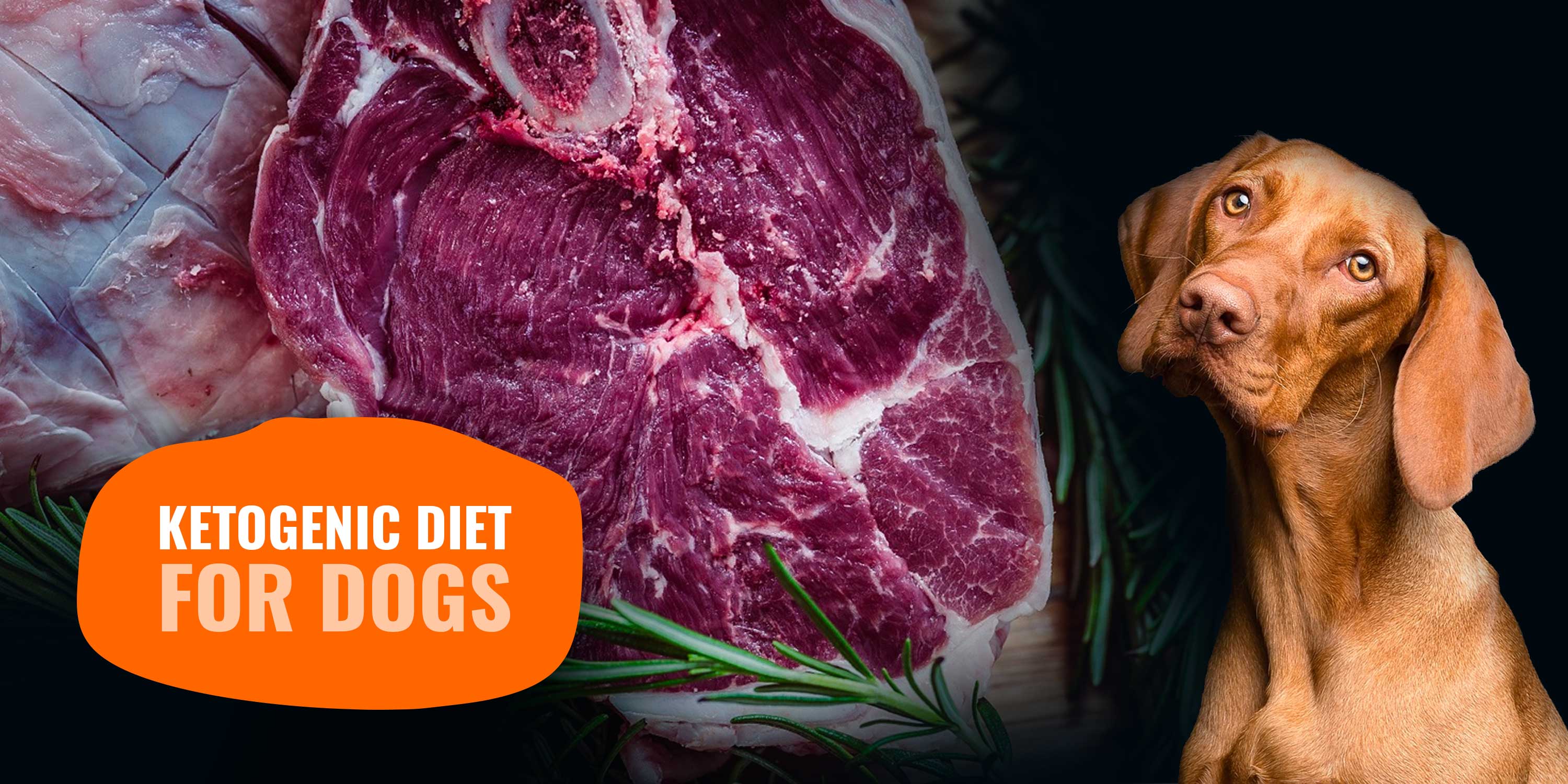 Ketogenic diet dog food