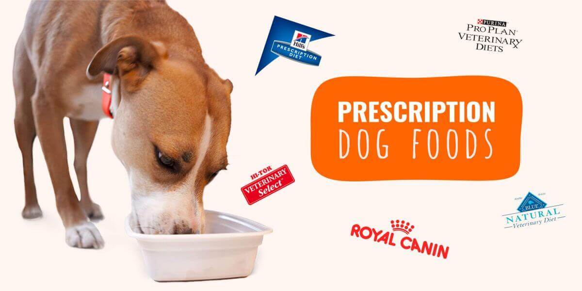vet prescription dog food