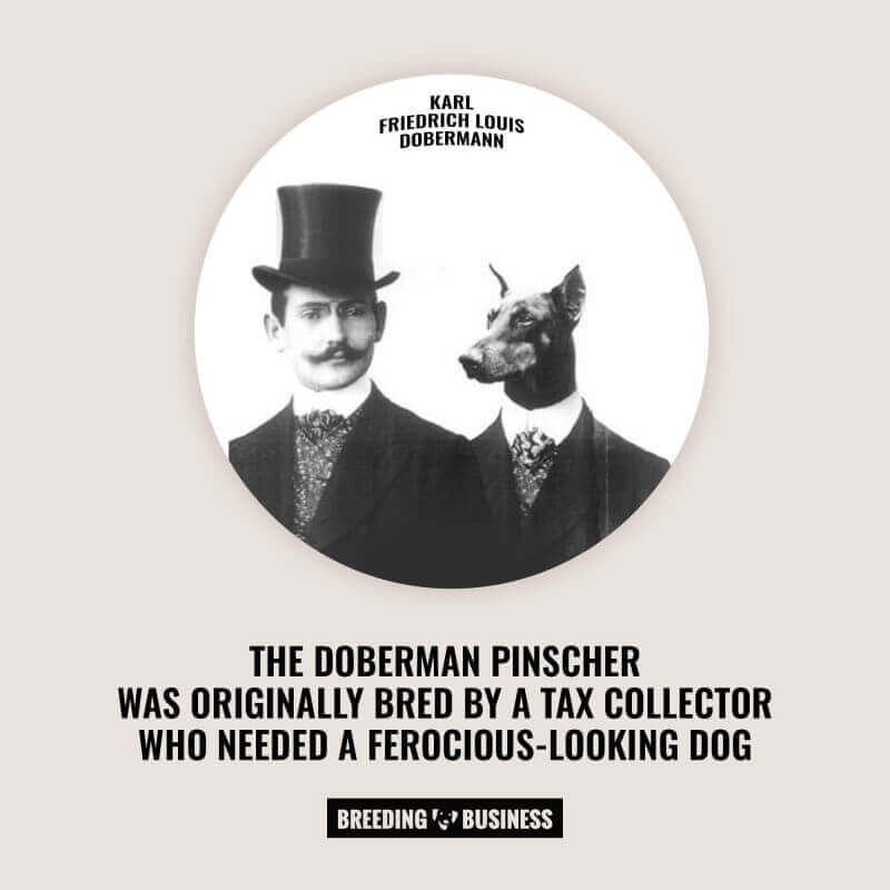 karl friedrich louis dobermann