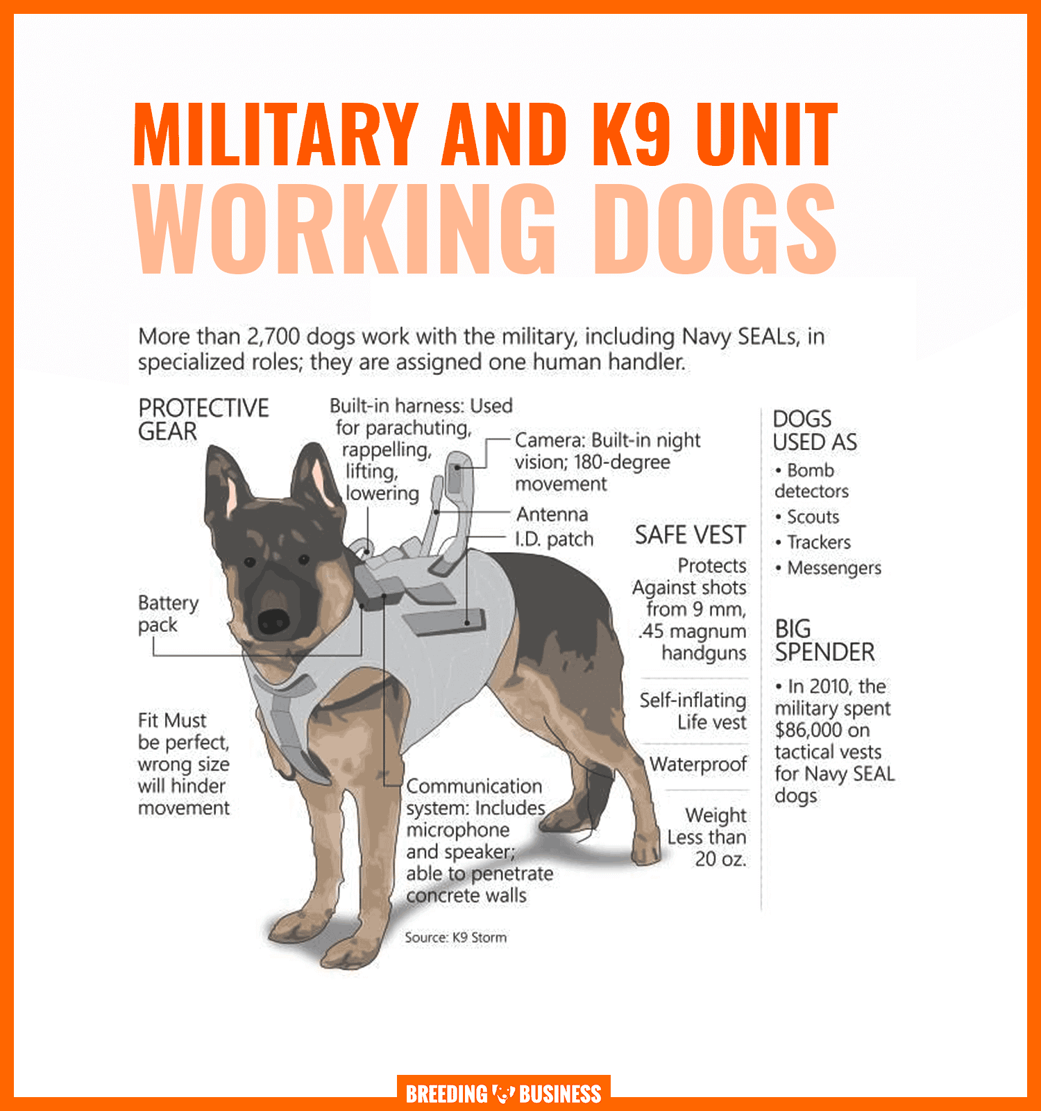 Working Dogs and Service Dogs Different Types, Training & Breeds