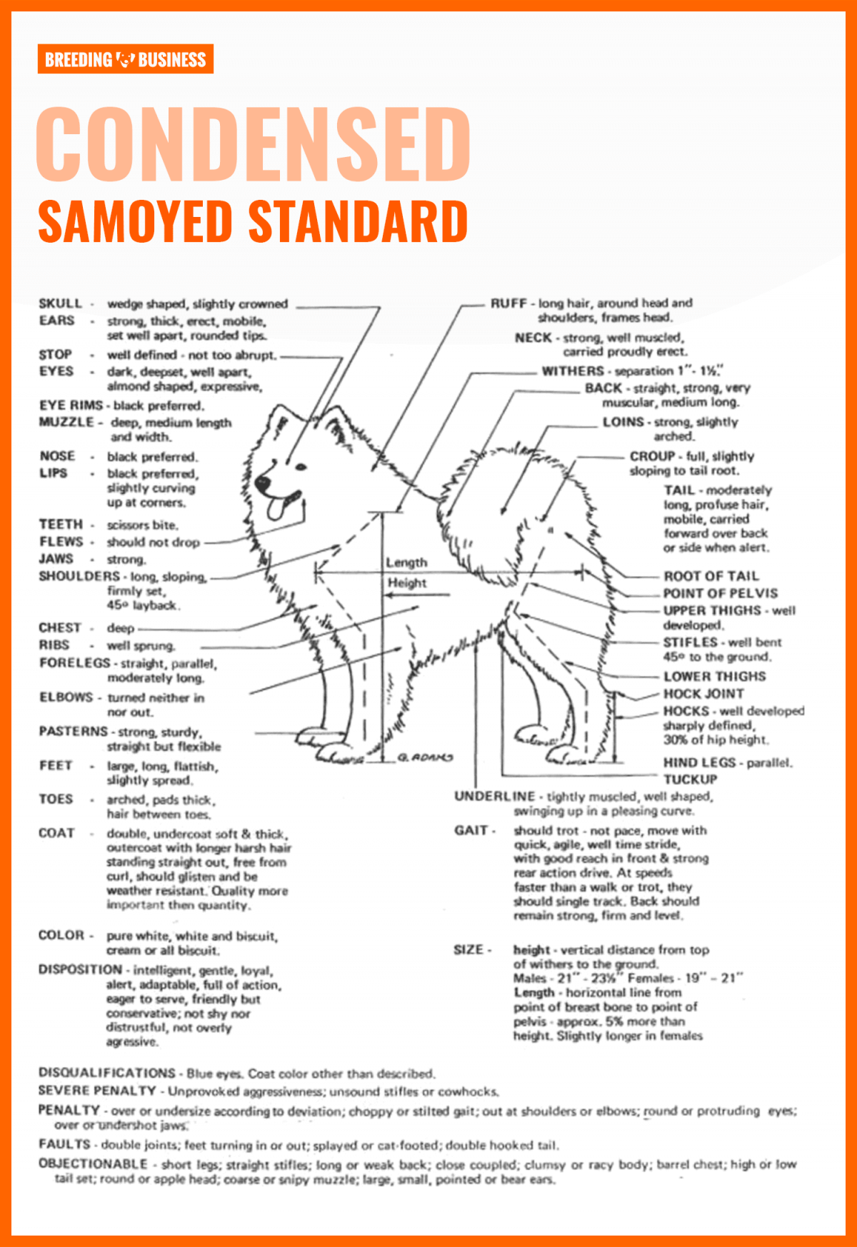 Samoyed standard chart