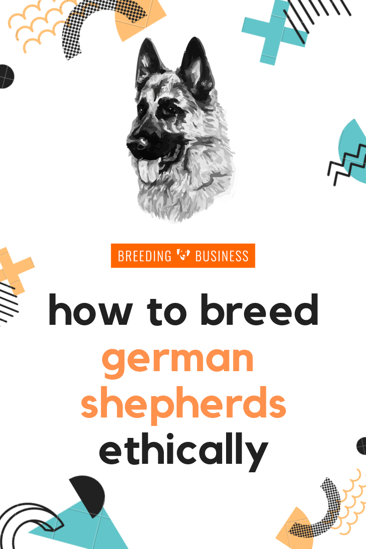 how to breed german shepherds ethically