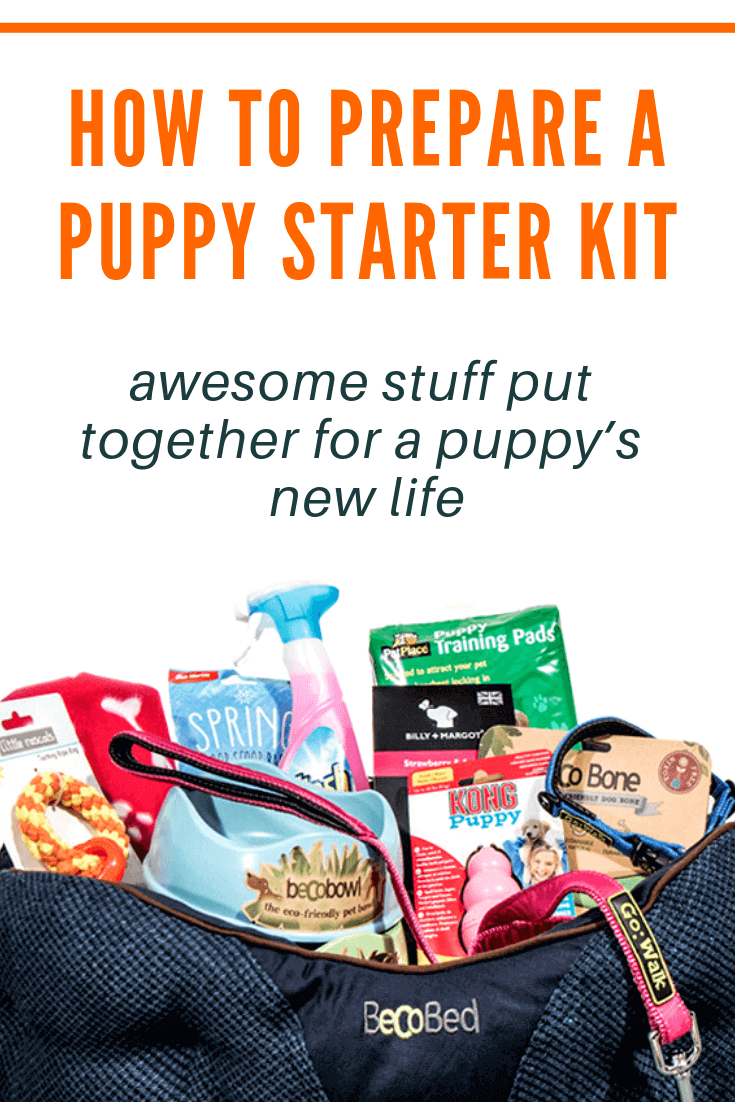 How to Pack a Puppy Starter Kit for Puppy Buyers — Breeding Business