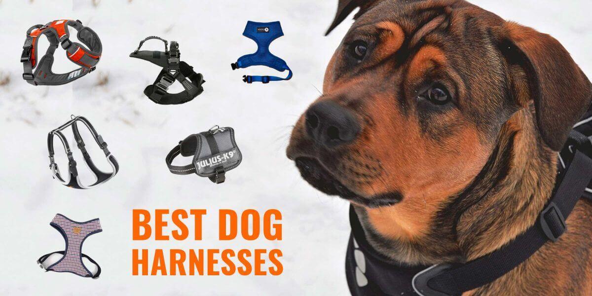 high quality dog harness