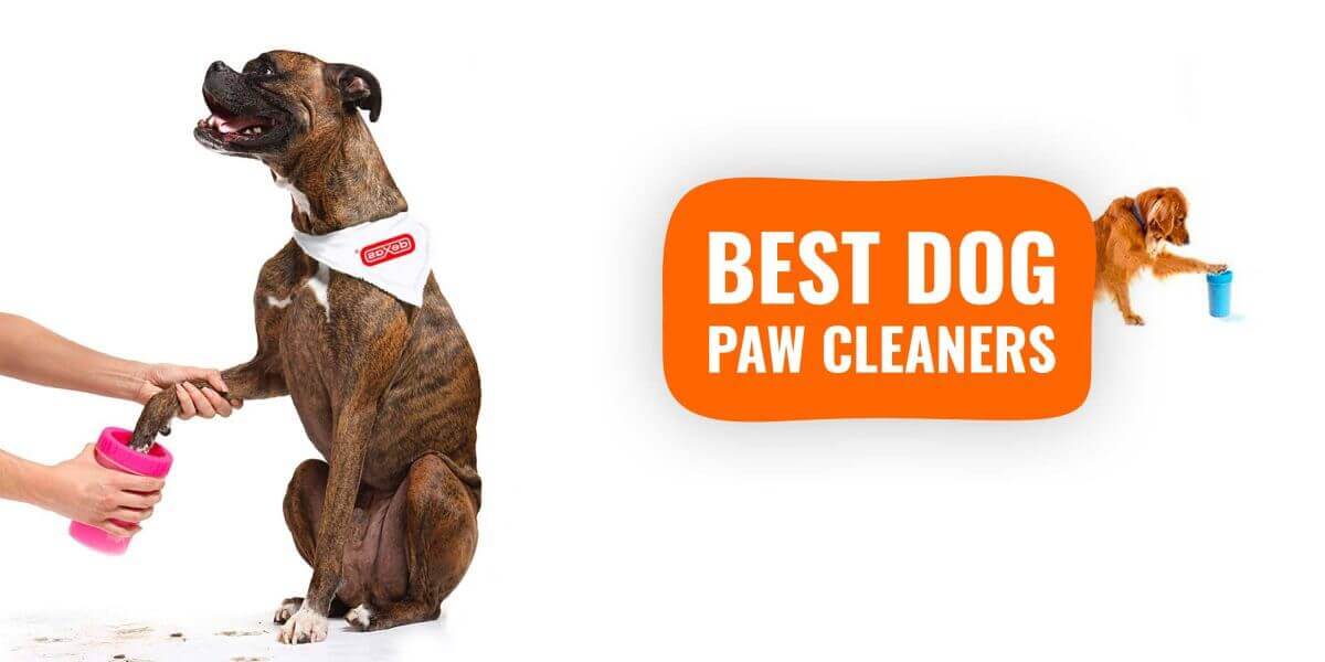 dog paw cleaners