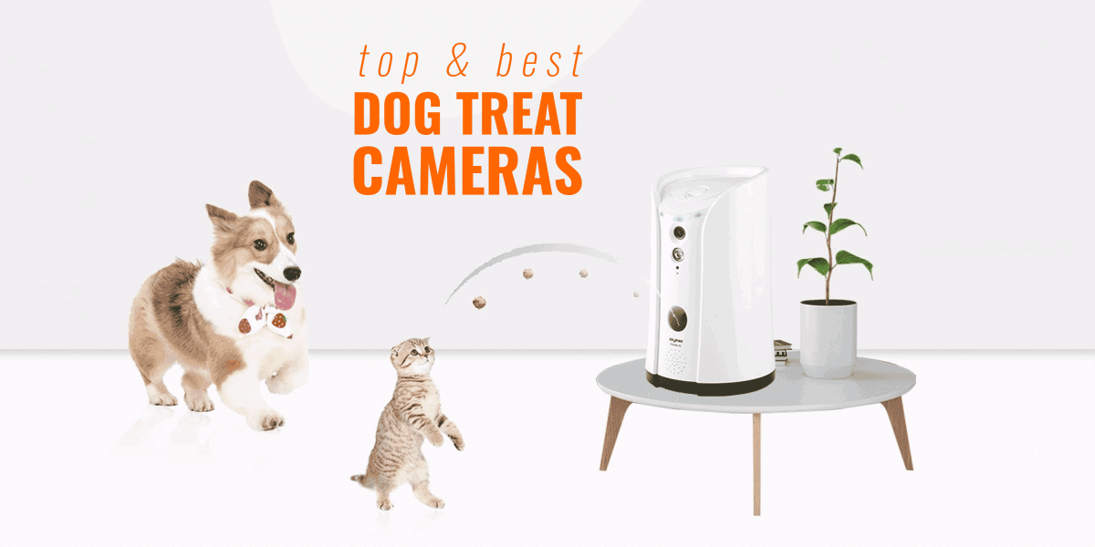 best pet treat camera