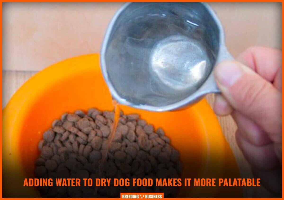 adding water to dog dry food kibble