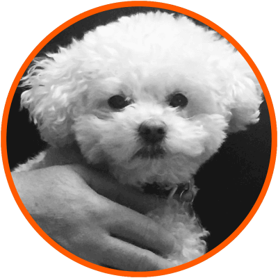 poochon