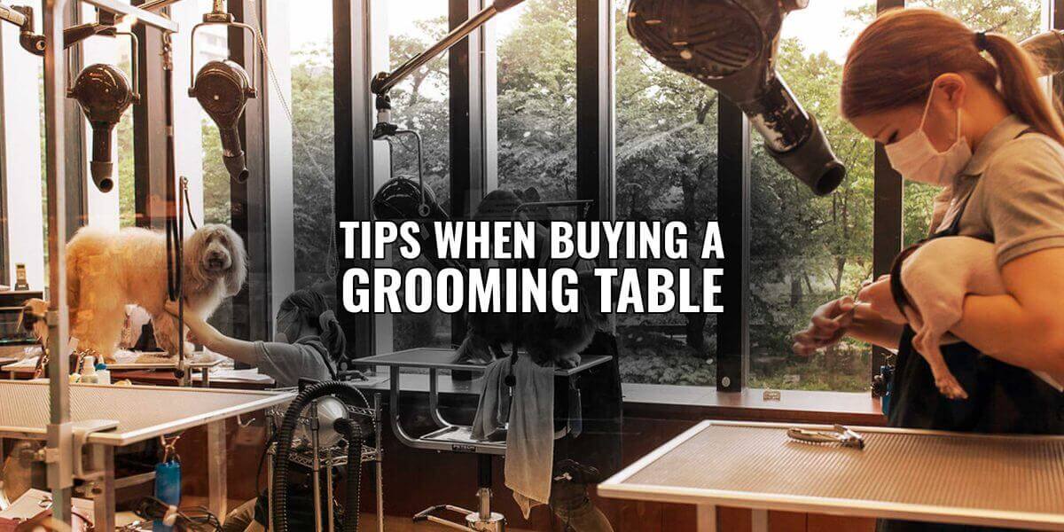 tips buying dog grooming table
