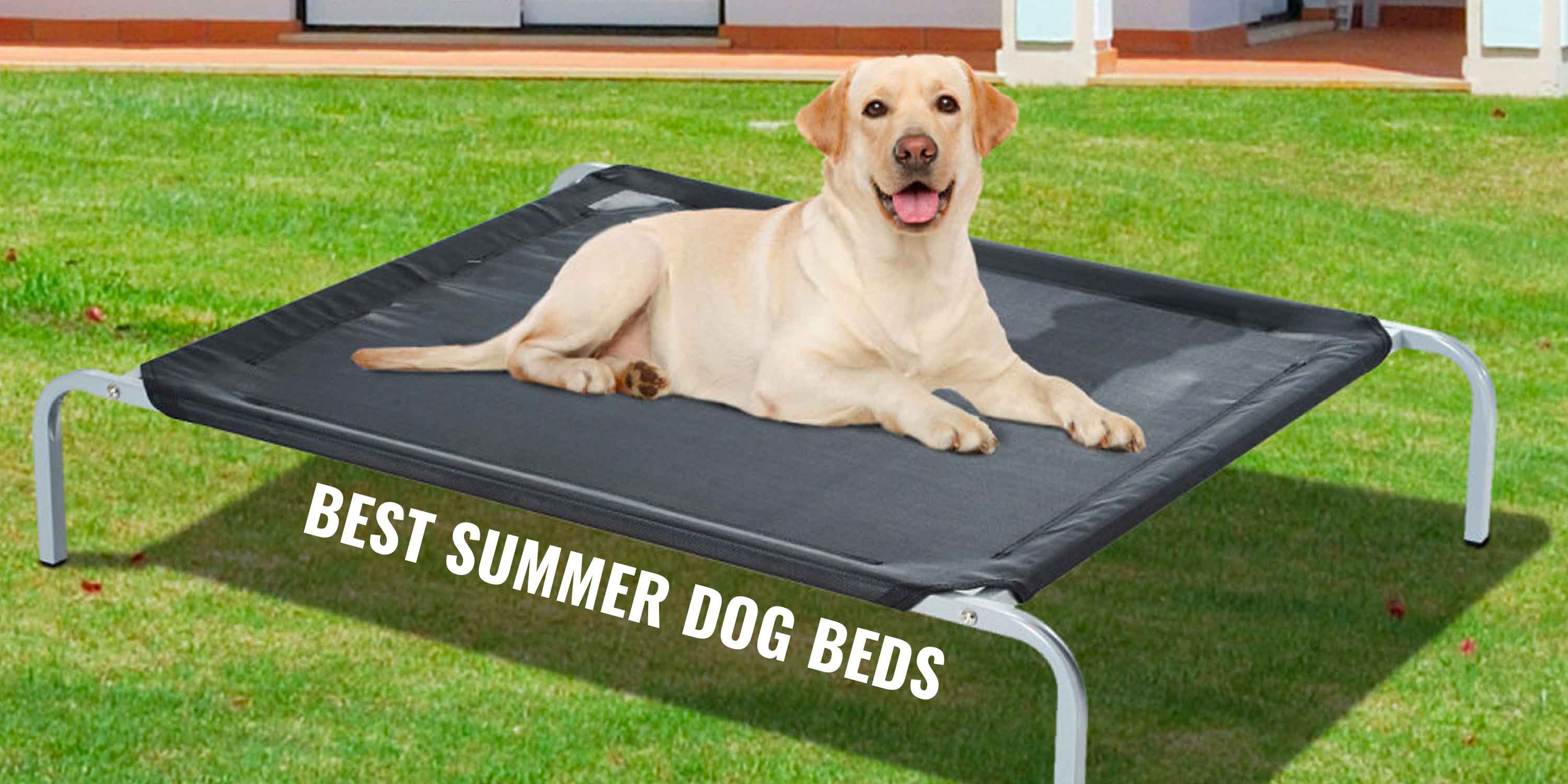 Summer Dog Beds – Cooling, Breathable 