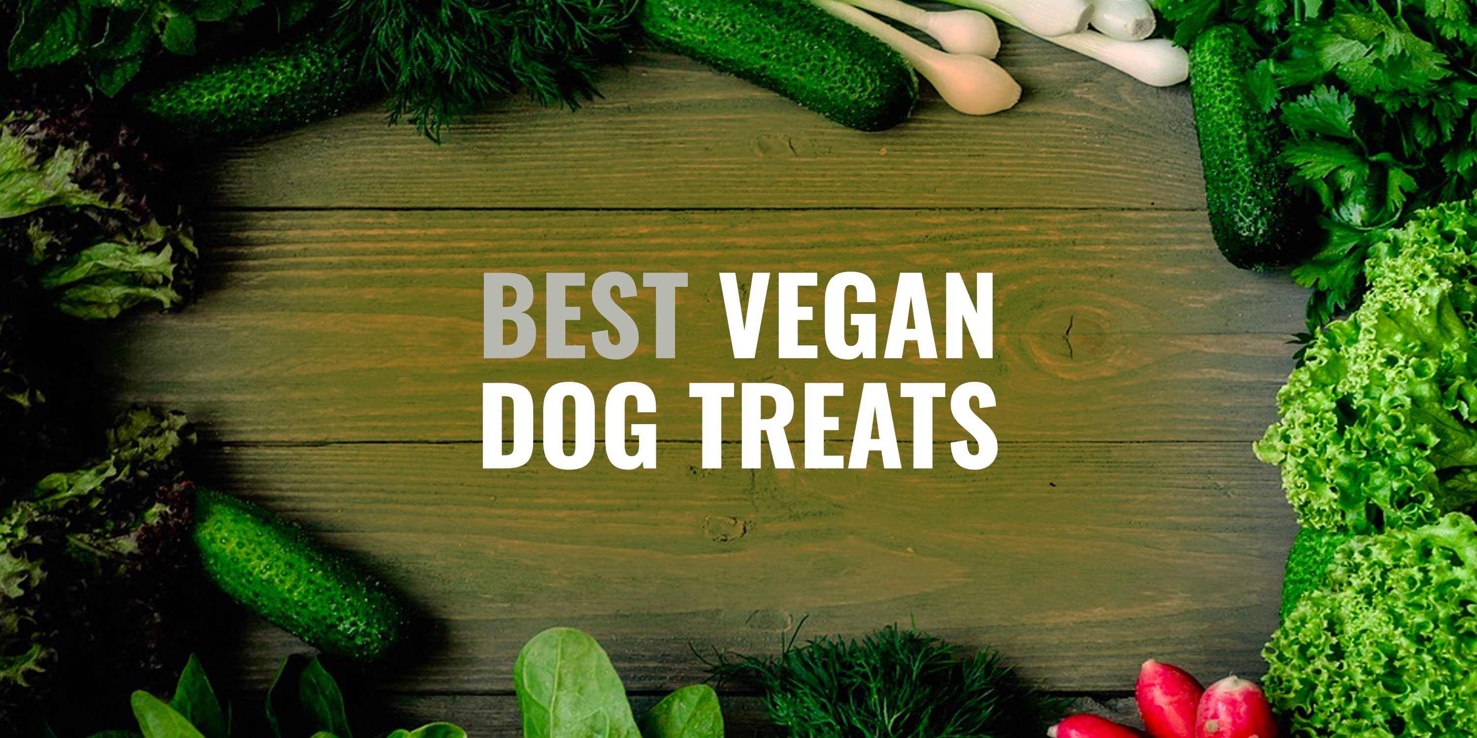 reviews-10-best-vegan-dog-treats-chews-biscuits-vegan-snacks