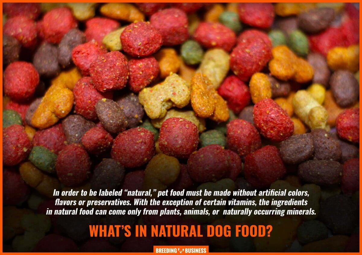 definition of natural dog food