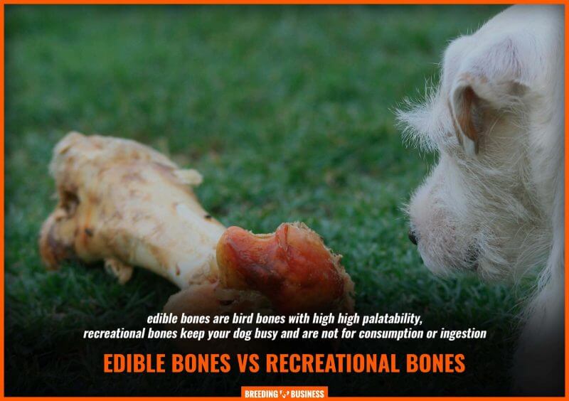 edible vs recreational raw bones for dogs
