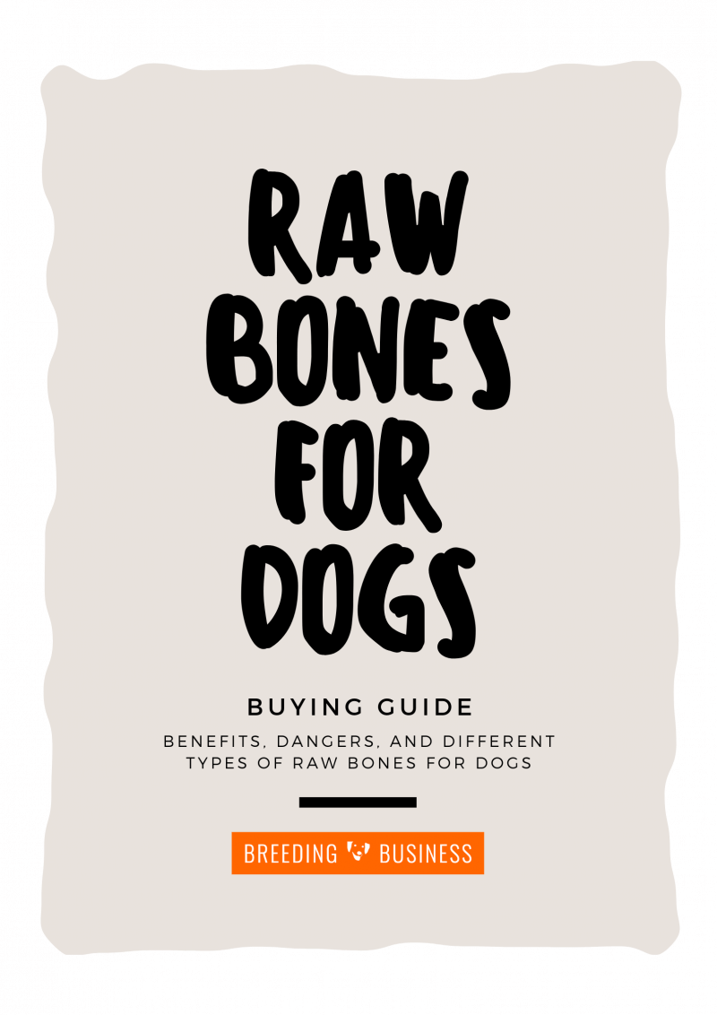 raw bones for dogs poster