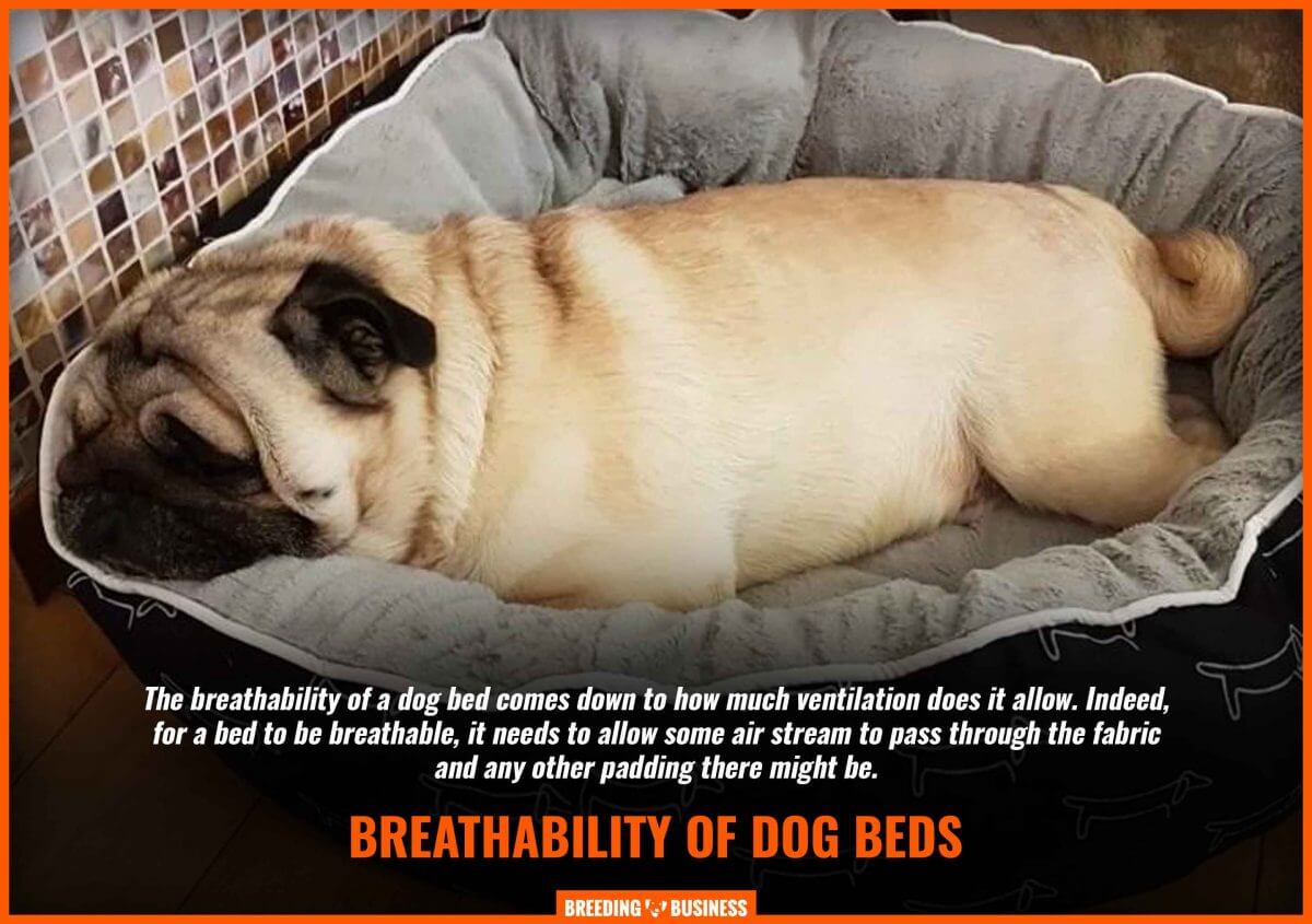 breathability dog beds