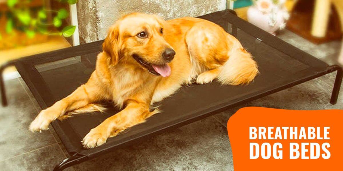 canine cooler bed reviews