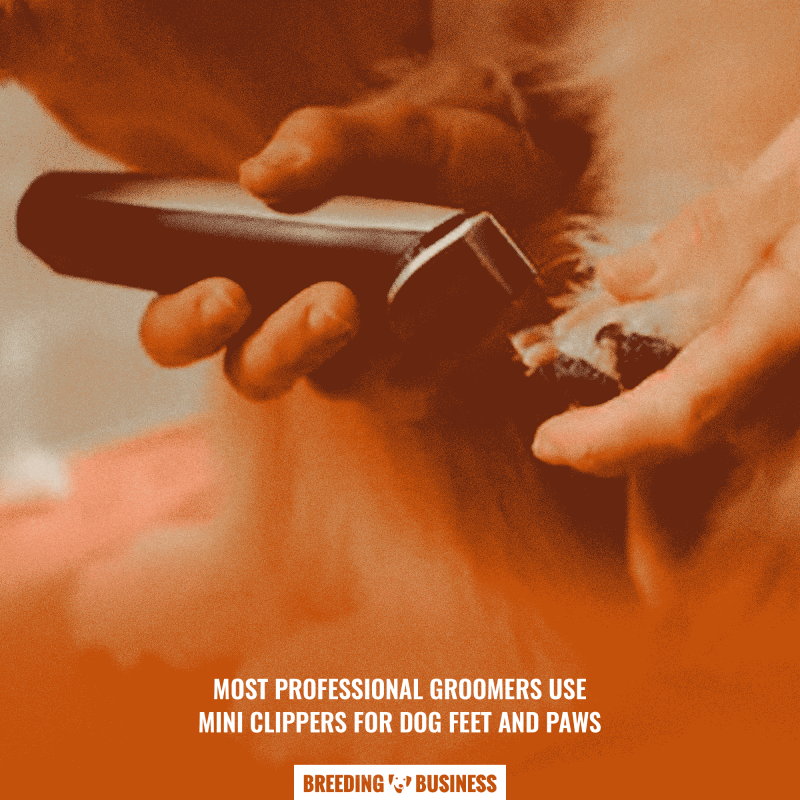 dog feet clippers