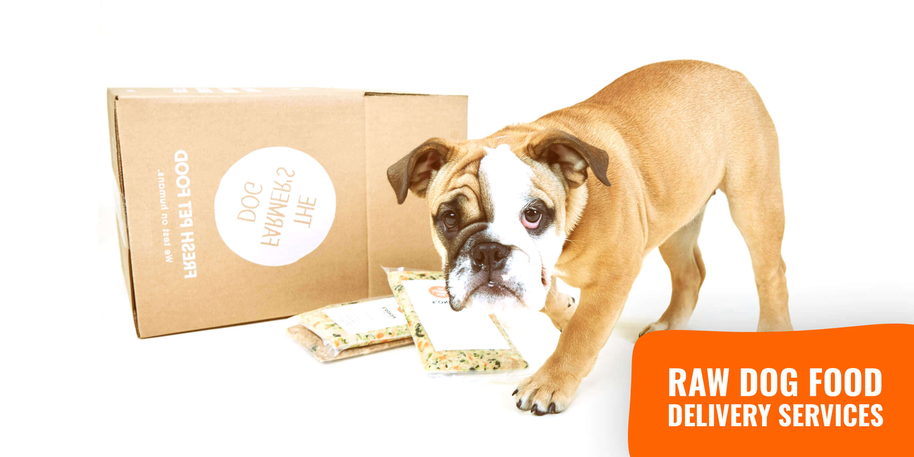 reel raw dog food delivery service