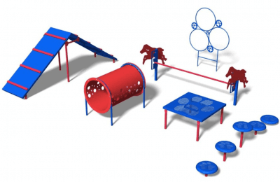 dog agility kit
