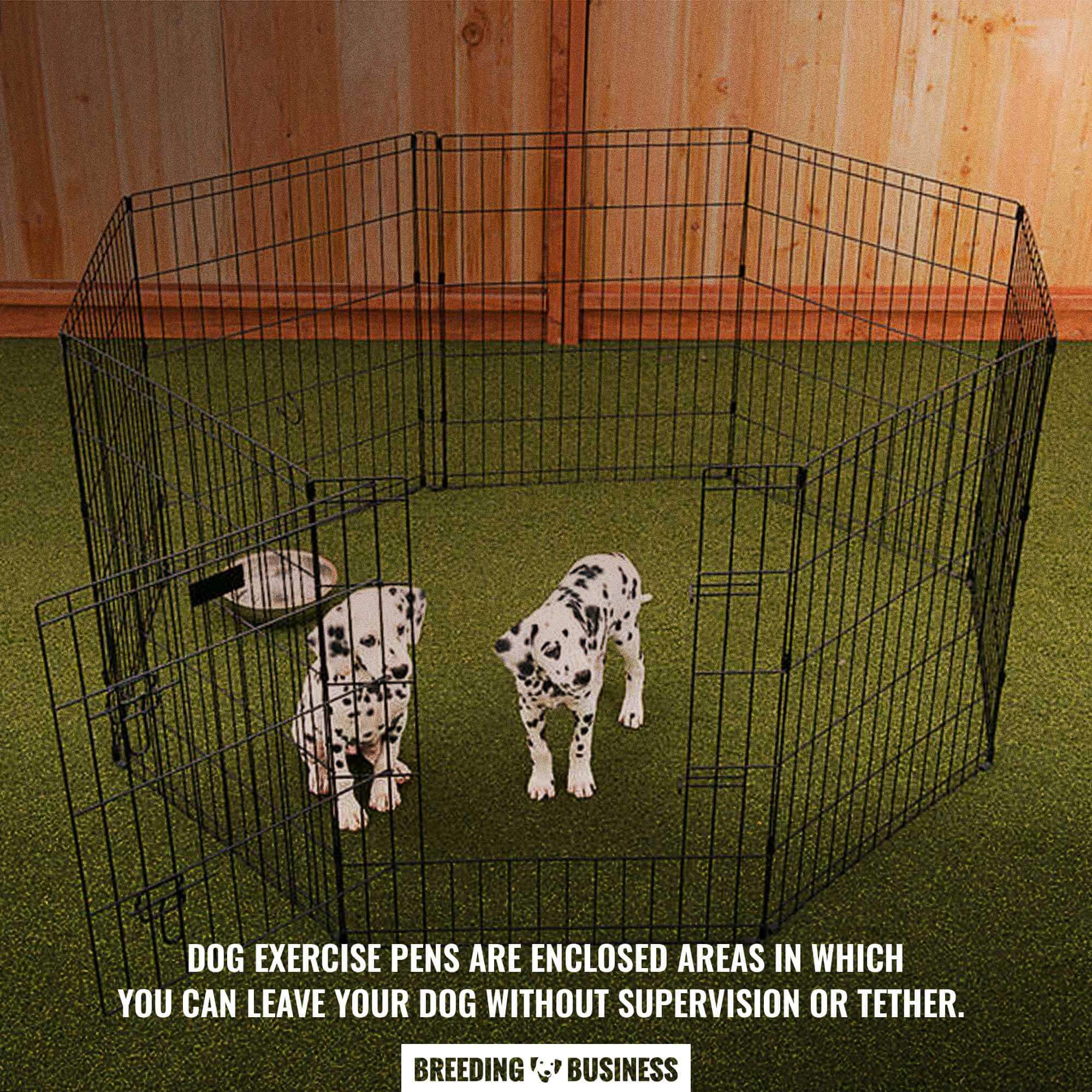 dog exercise pen definition