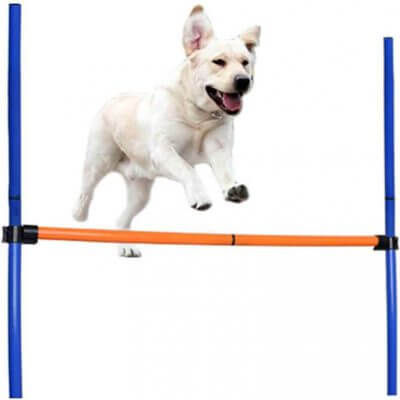 dog jump bars