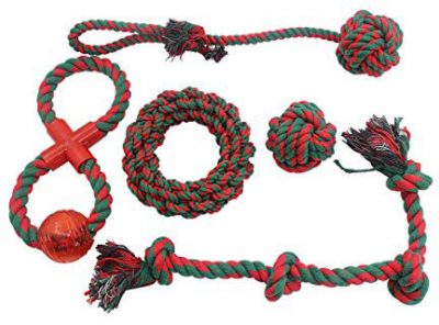 dog ropes