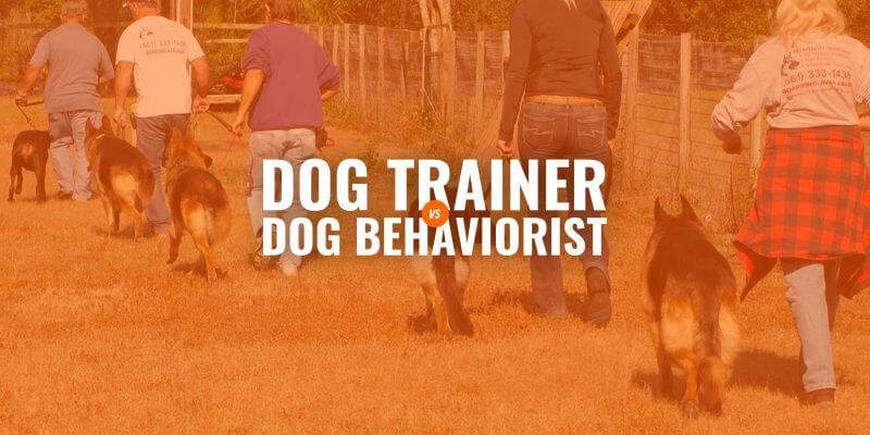 behaviorist dog trainer