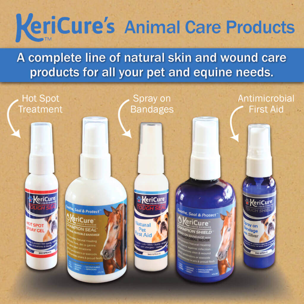 Liquid Bandage for Dogs Top 10 Reviews, Guide, FAQ, Pros & Cons