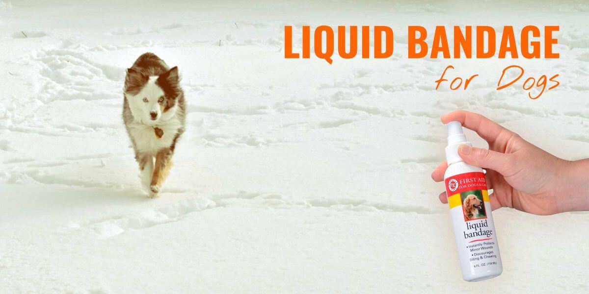 liquid plaster for dogs