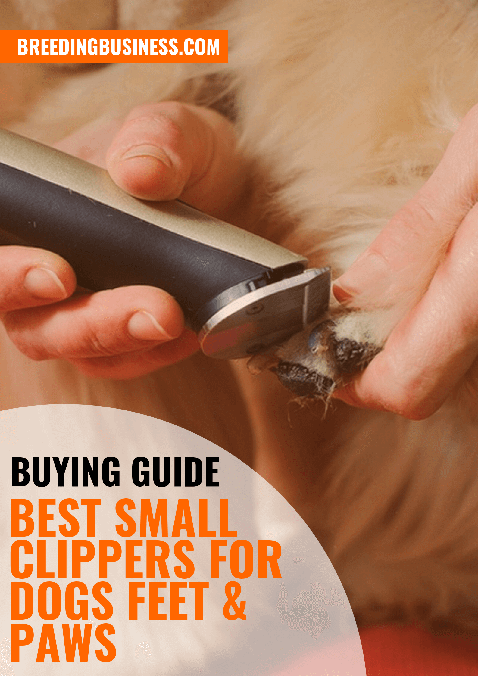 dog feet clippers