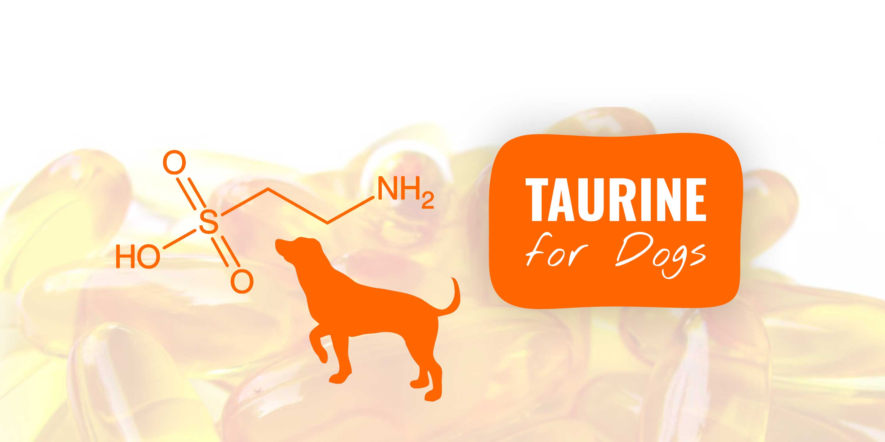 dogs and taurine