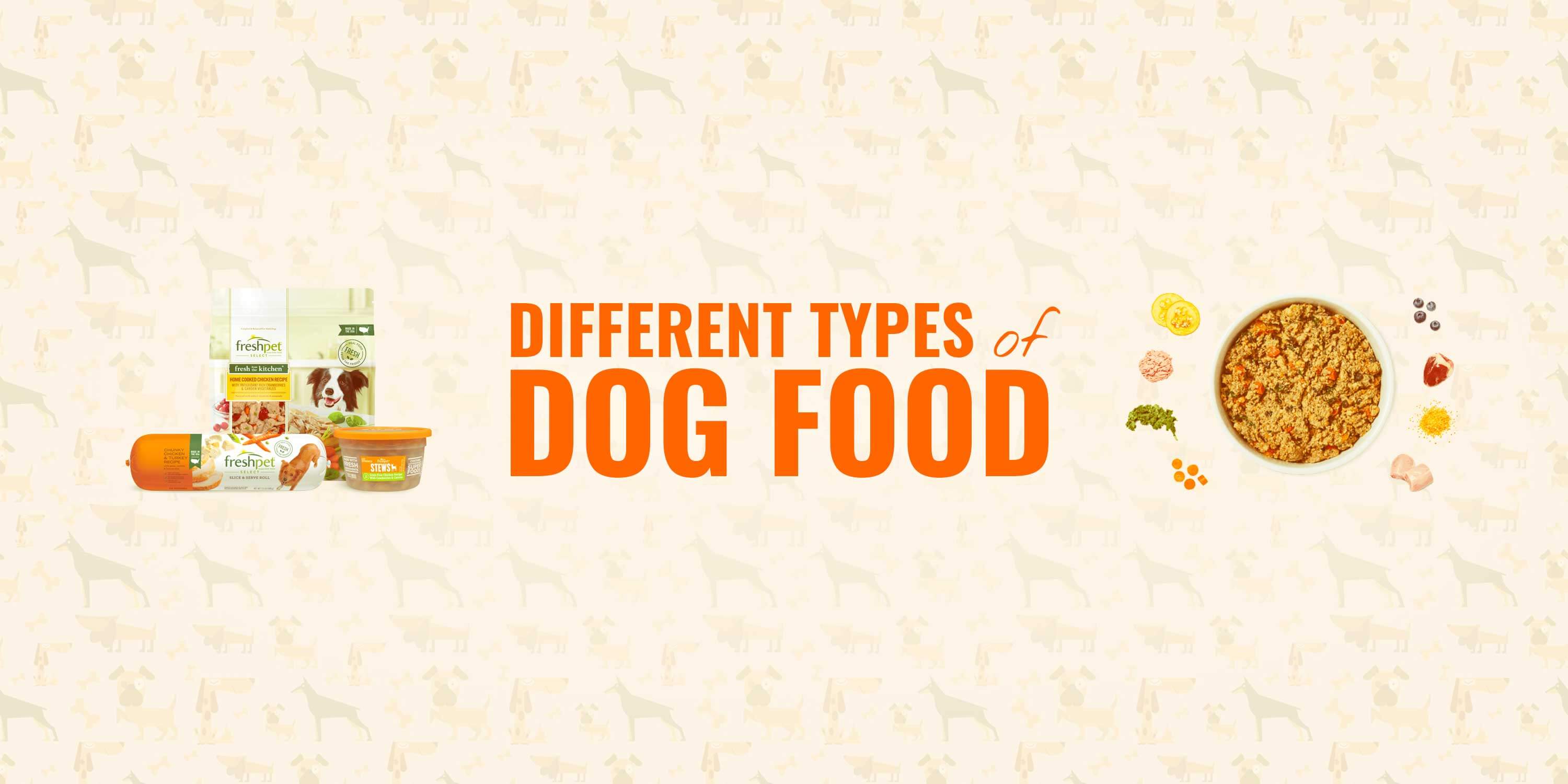 Types of Dog Food: A Comprehensive Guide to Choosing the Right Diet