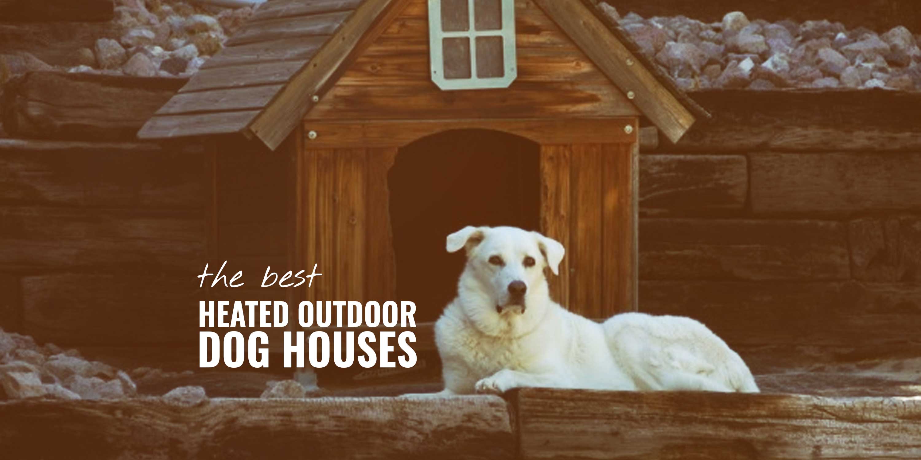 insulated heated dog house