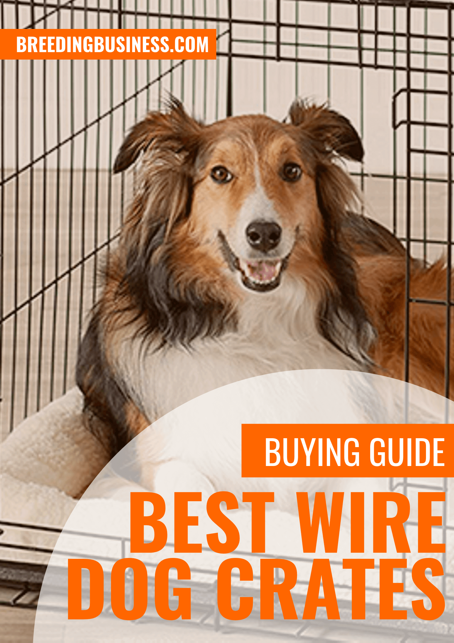 Buying Guide: metal and wire dog crates