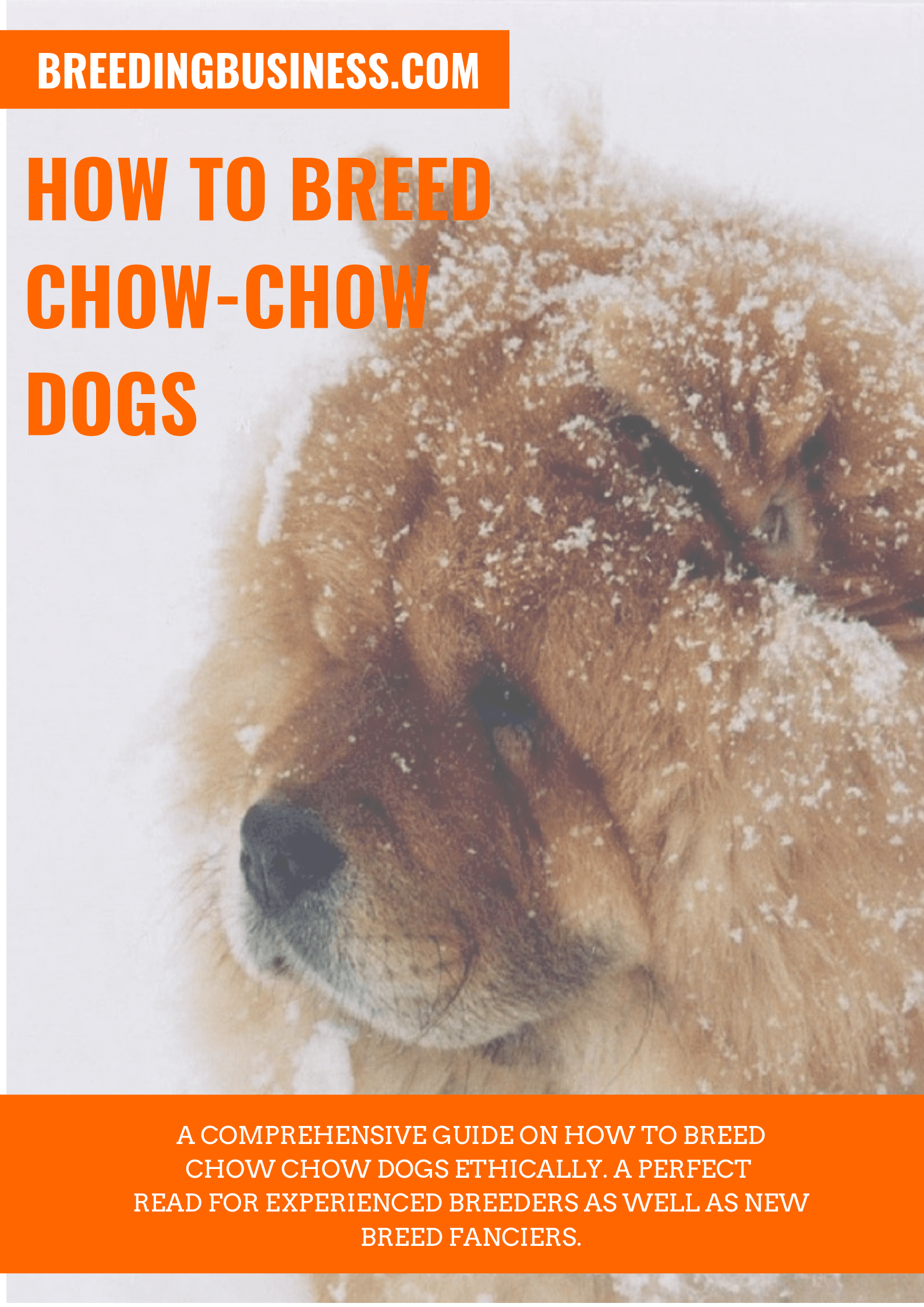 done deal chow chow