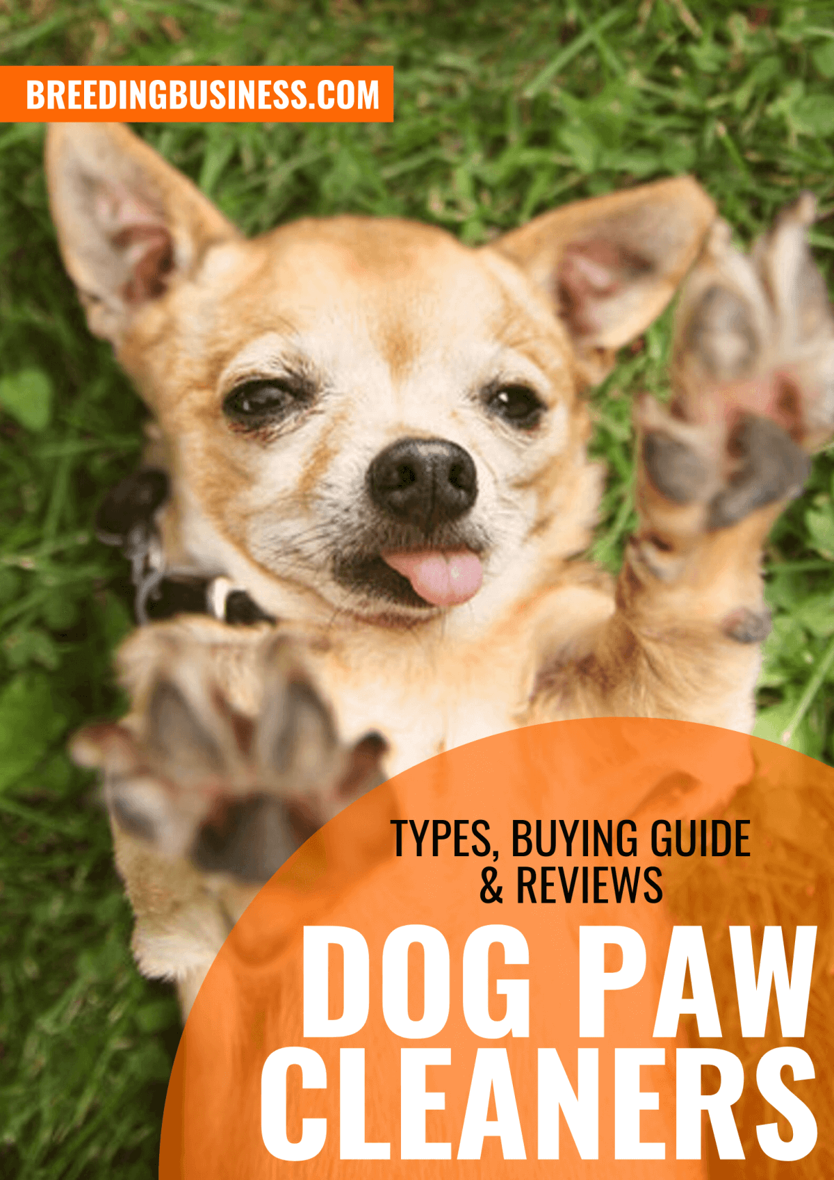 Dog Paw Cleaners – Types, Buying Guide & Reviews