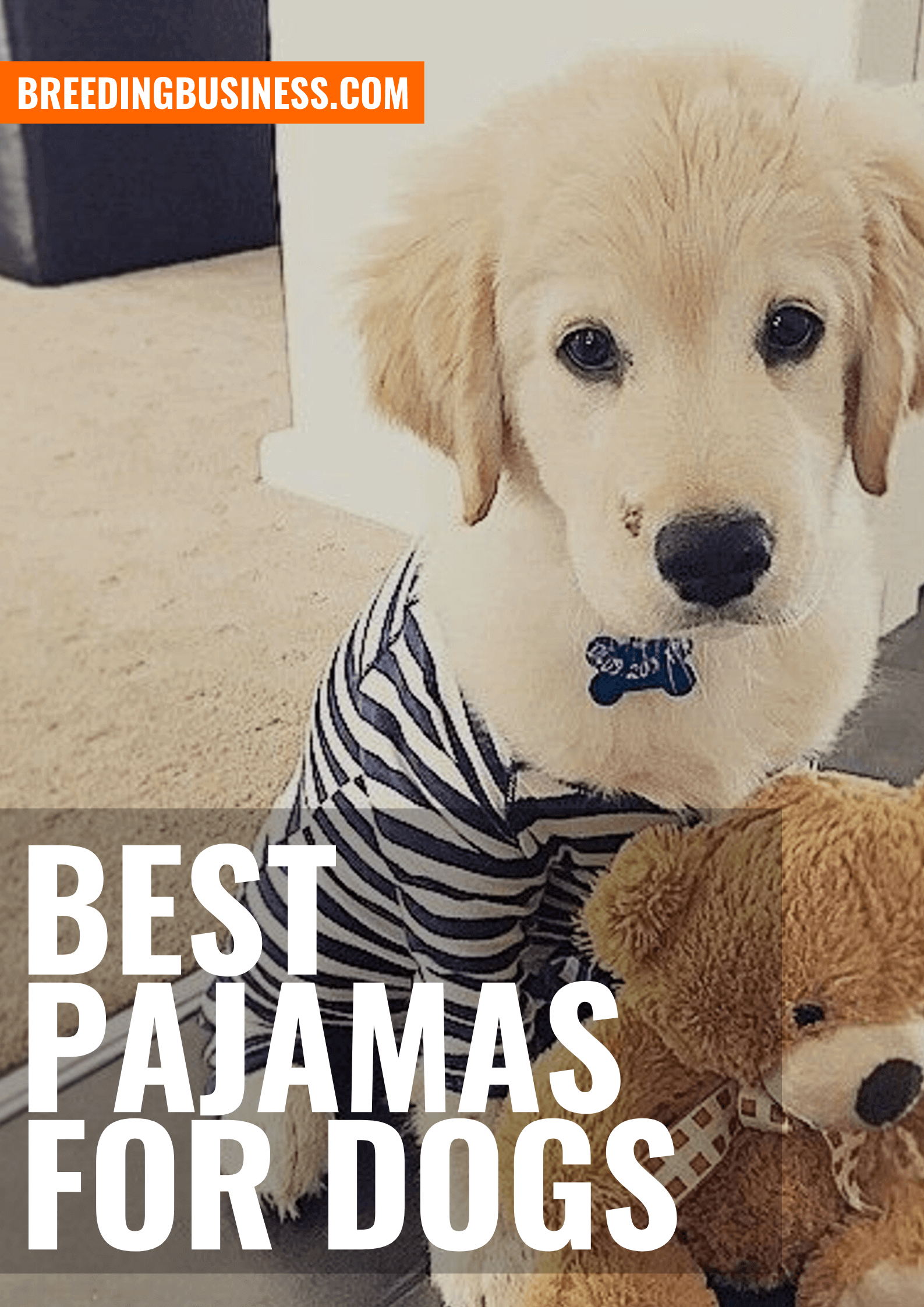 Top Dog Pajamas – Buying Guide and Reviews