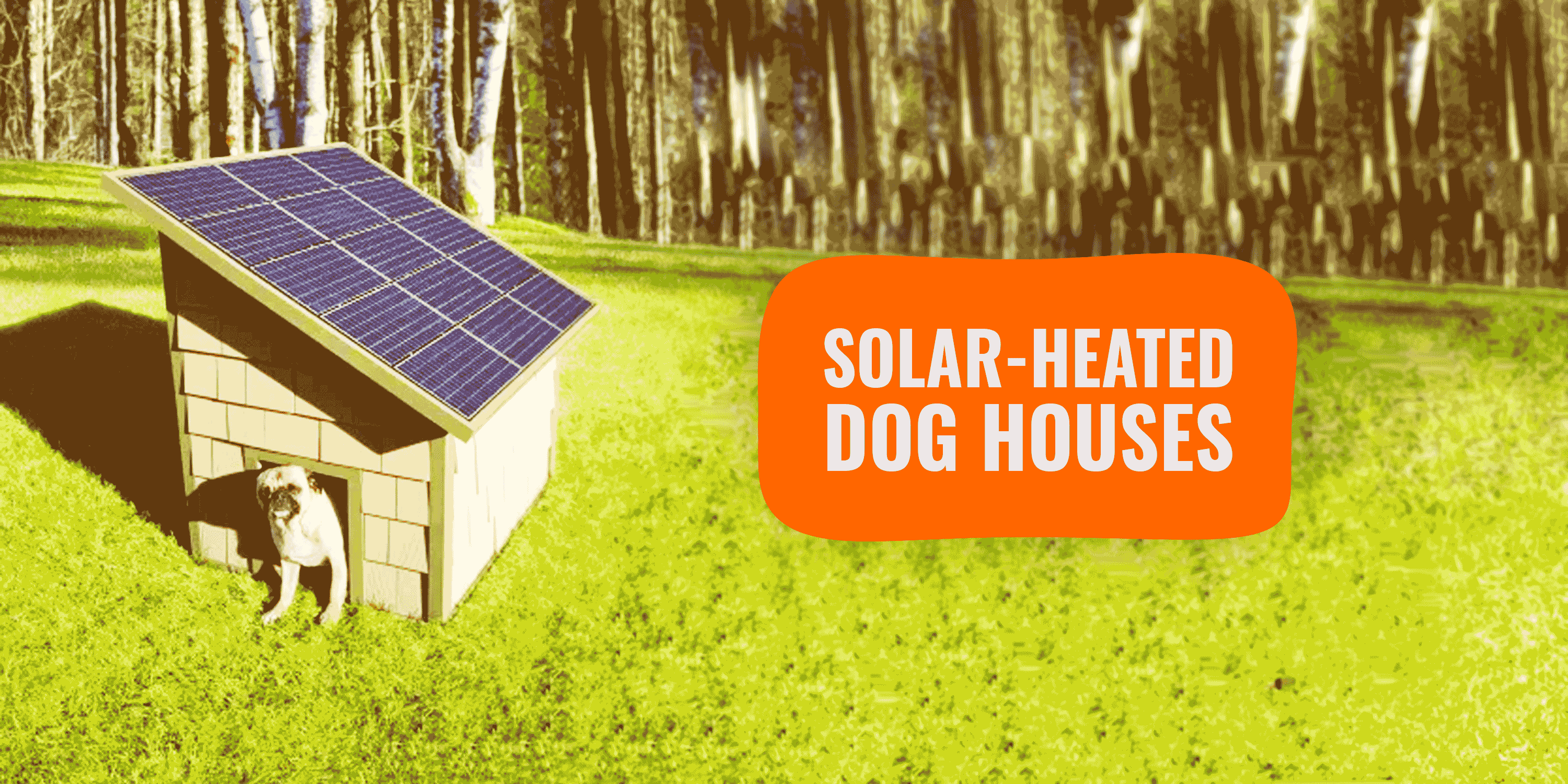 solar dog house