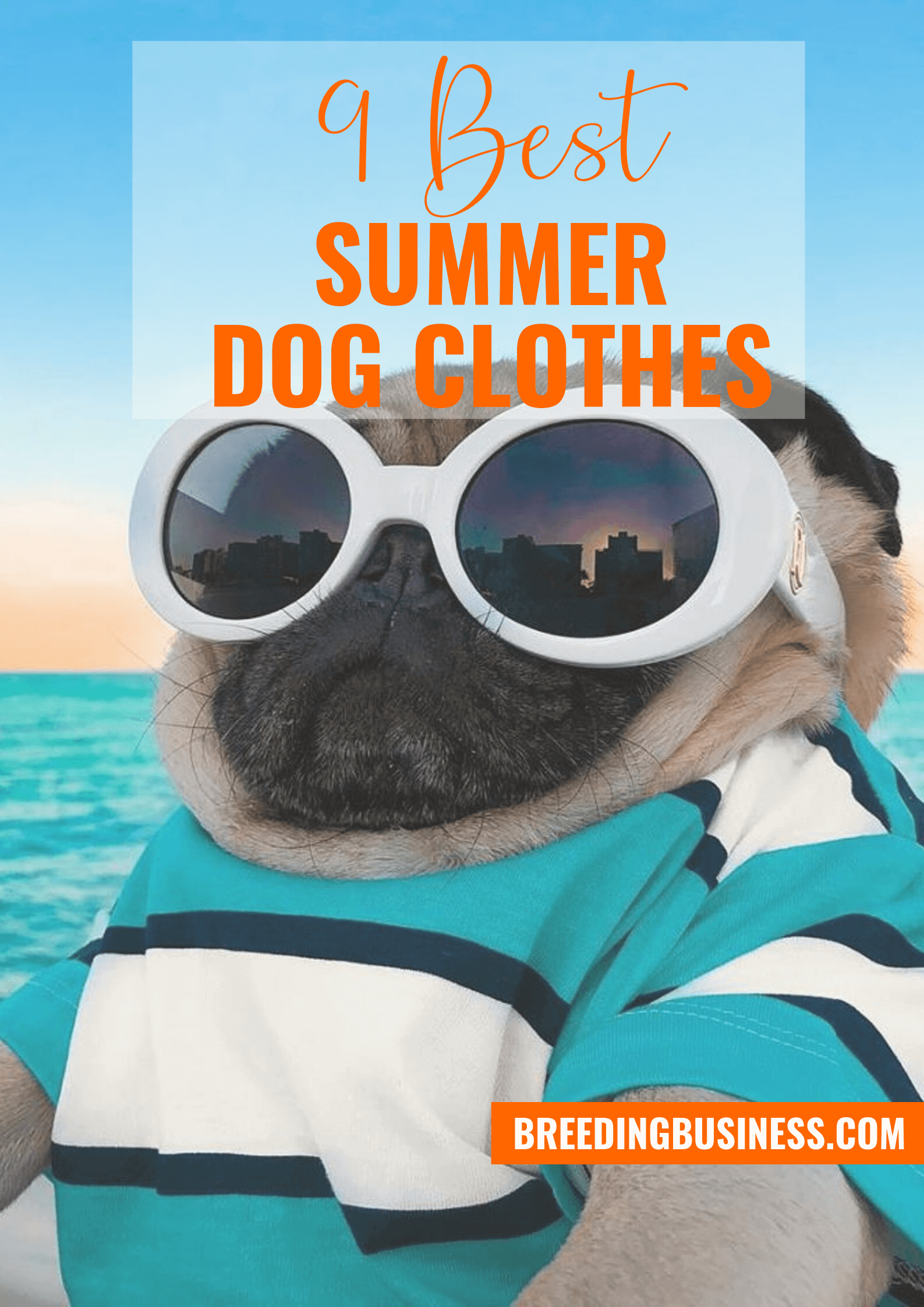 summer dog shirts