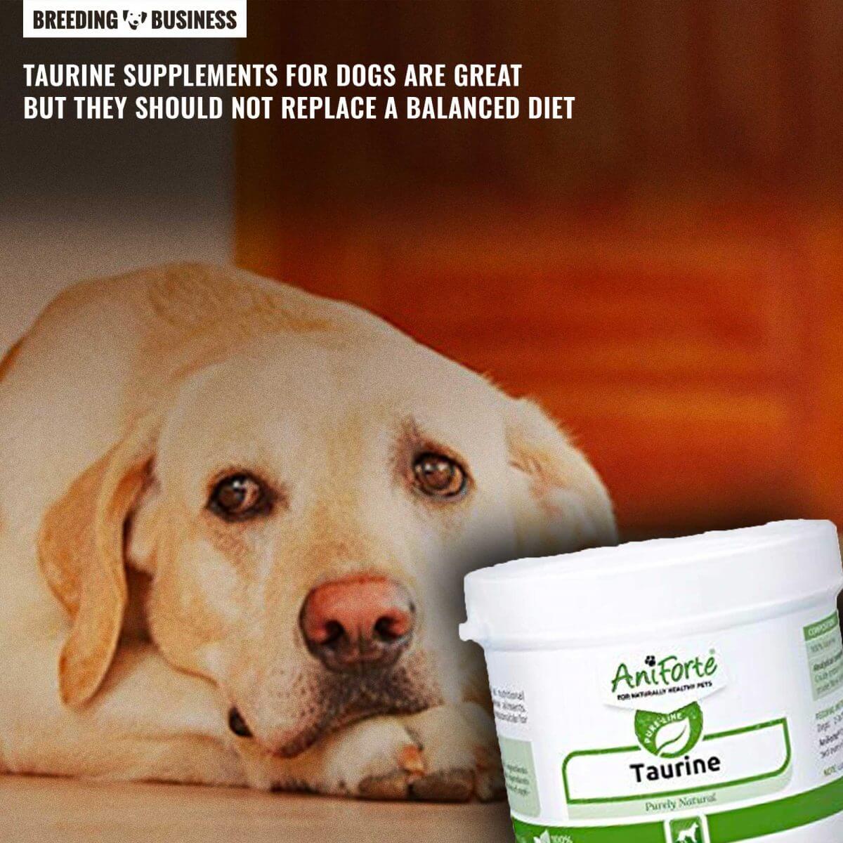 taurine dosage for people taurine dosage for people