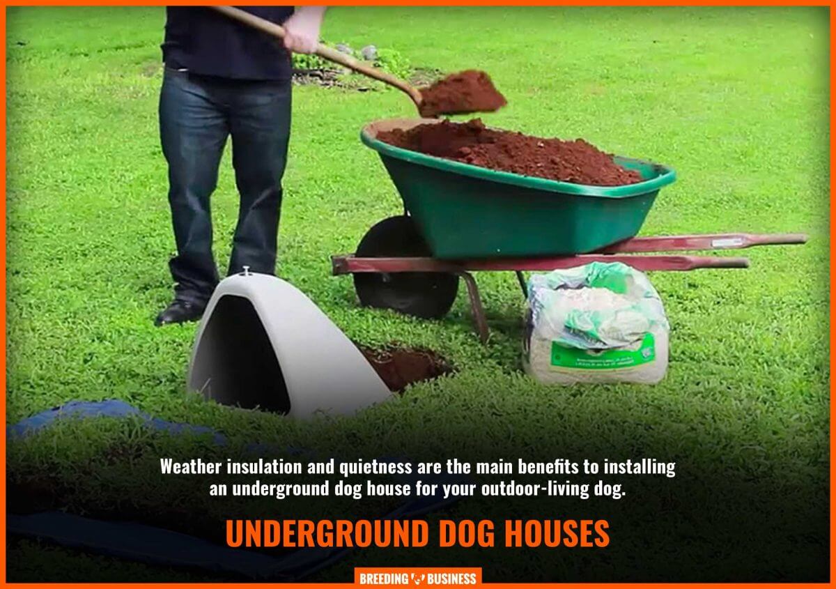 setup an underground dog house