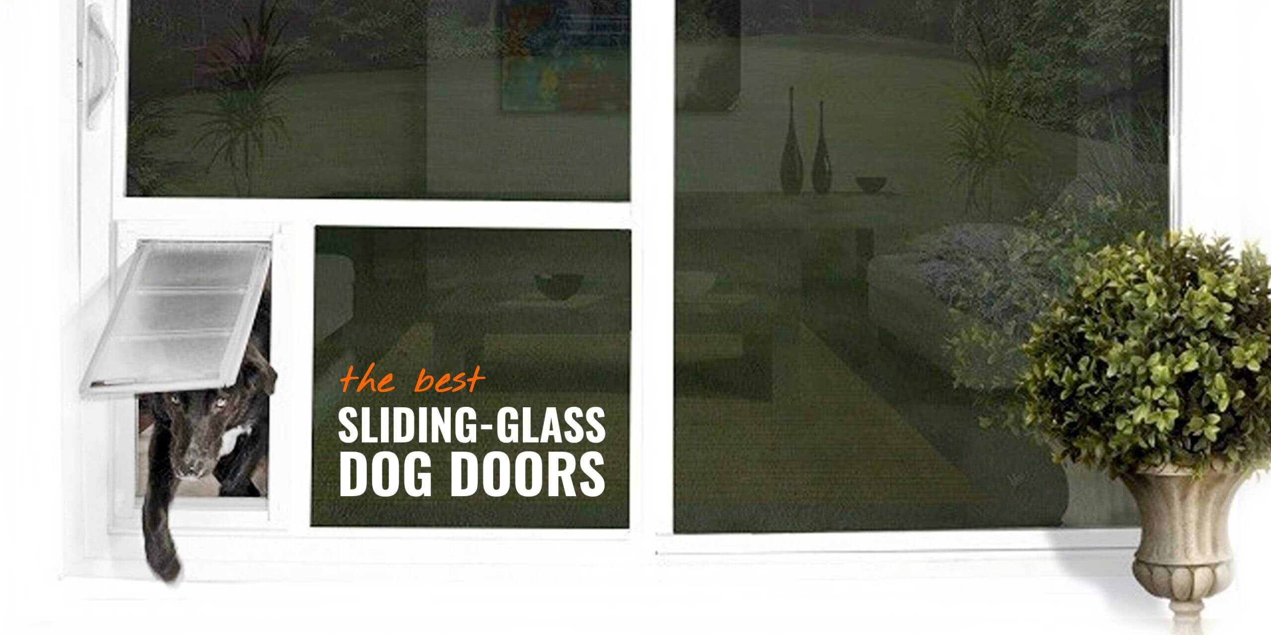 7 Best Sliding Glass Dog Doors – Reviews, Safety, Insulation & FAQ