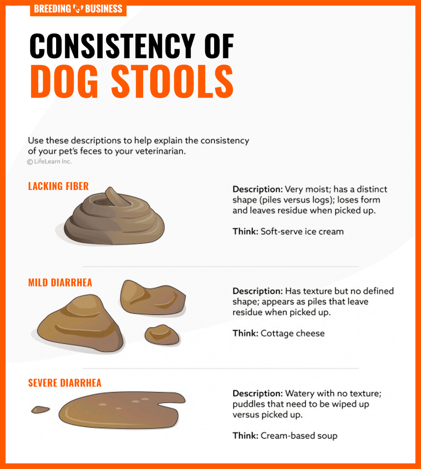 Dog Stool Sample – Tests, Collection, Texture & Fecal FAQ