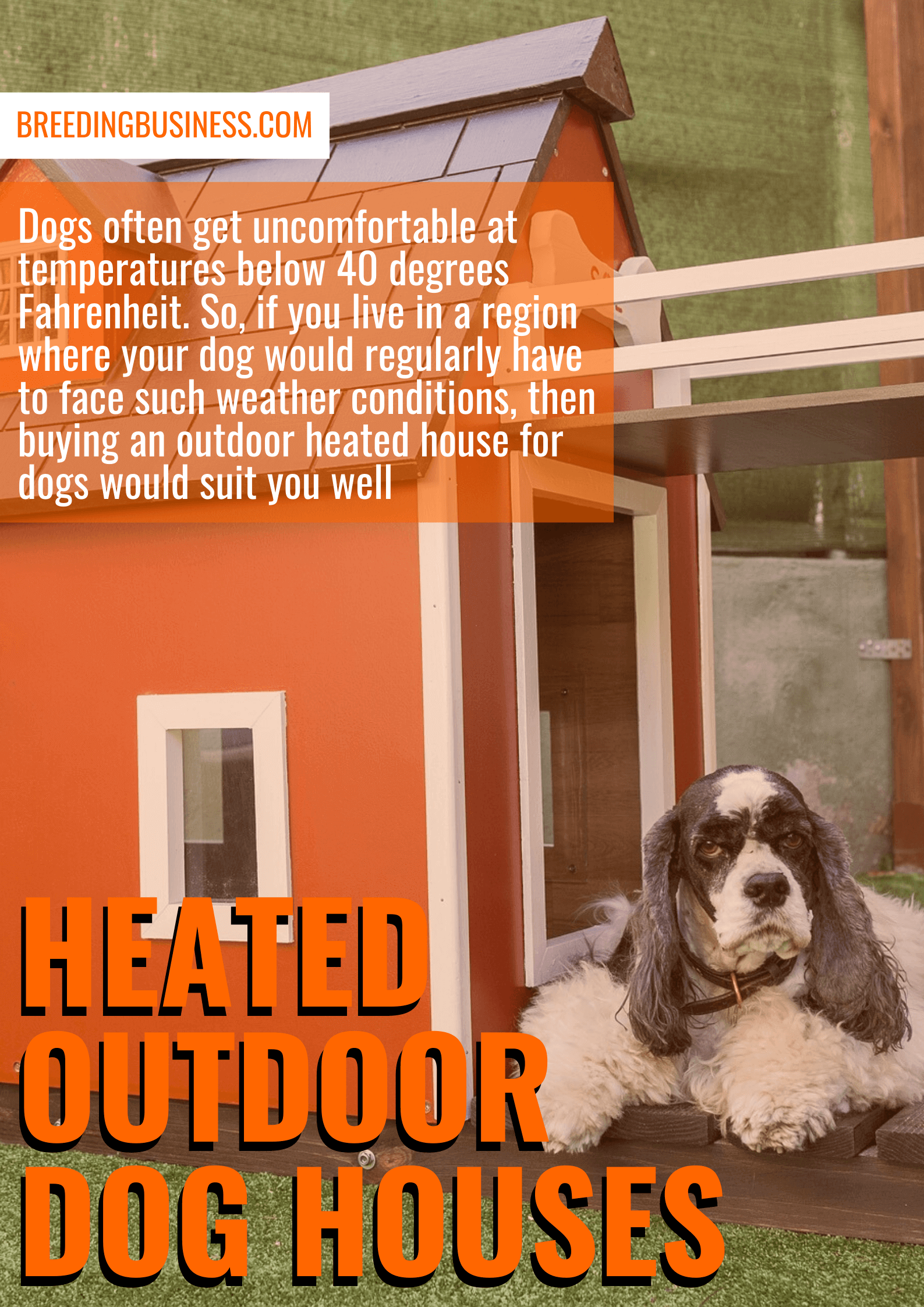 best heated outdoor dog houses (reviews)