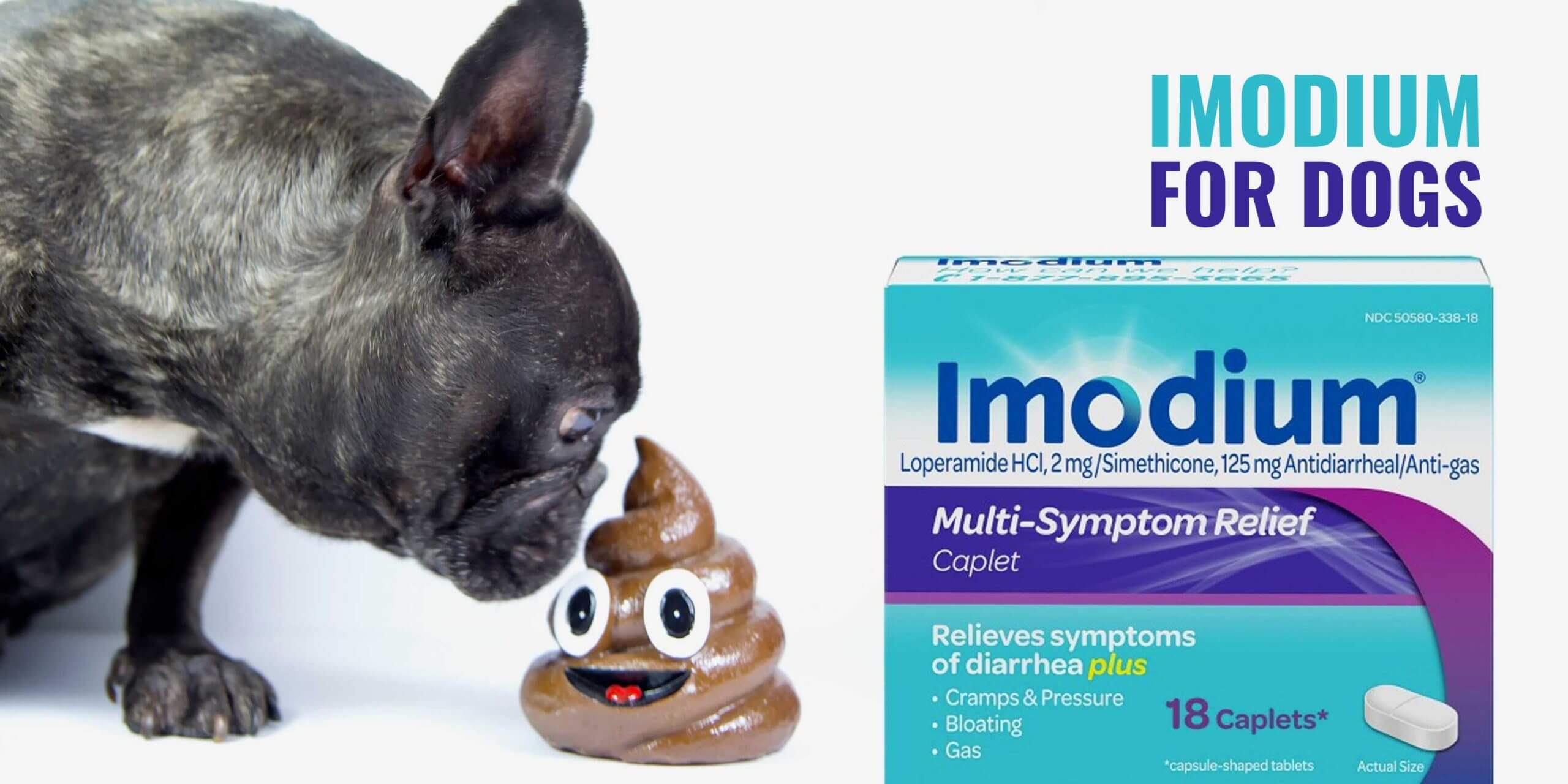 can you give a dog imodium for vomiting
