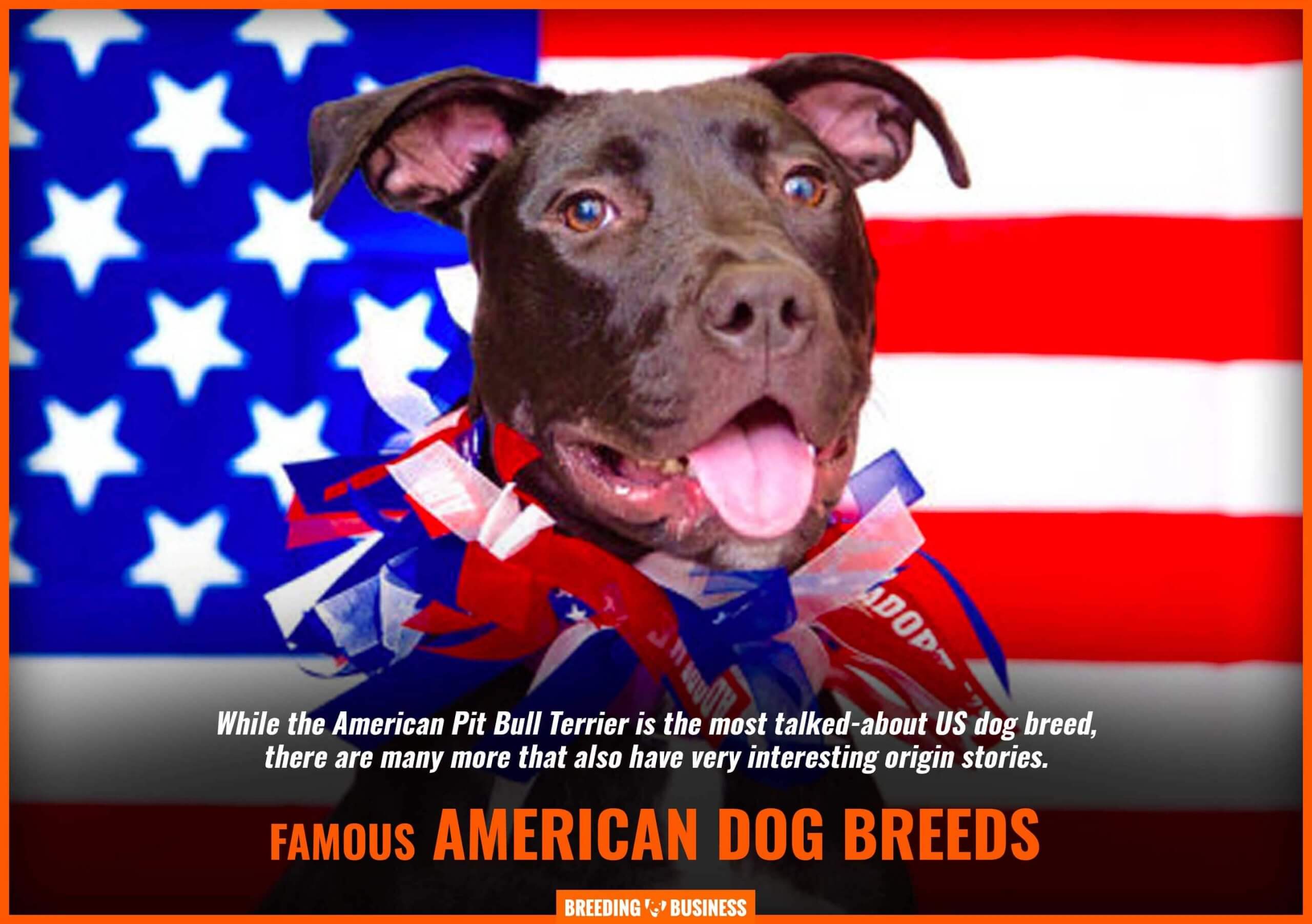 North American dog breeds