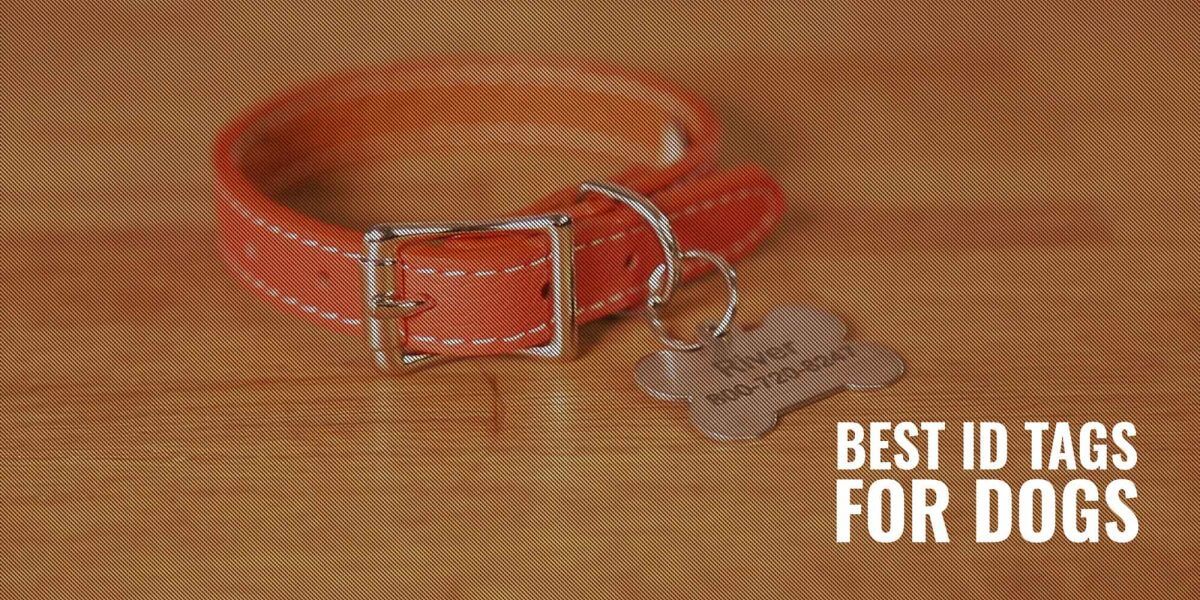 best dog tags for small dogs